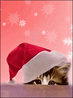 TARJETA FELICITACIÓN 2018 compressor
